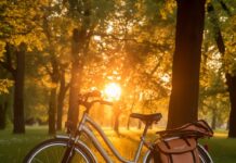 Ontdek de voordelen van een gazelle e-bike met riemaandrijving